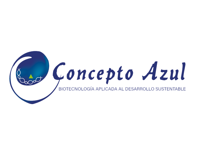logo concepto azul